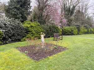 Photo 15- click for photo gallery